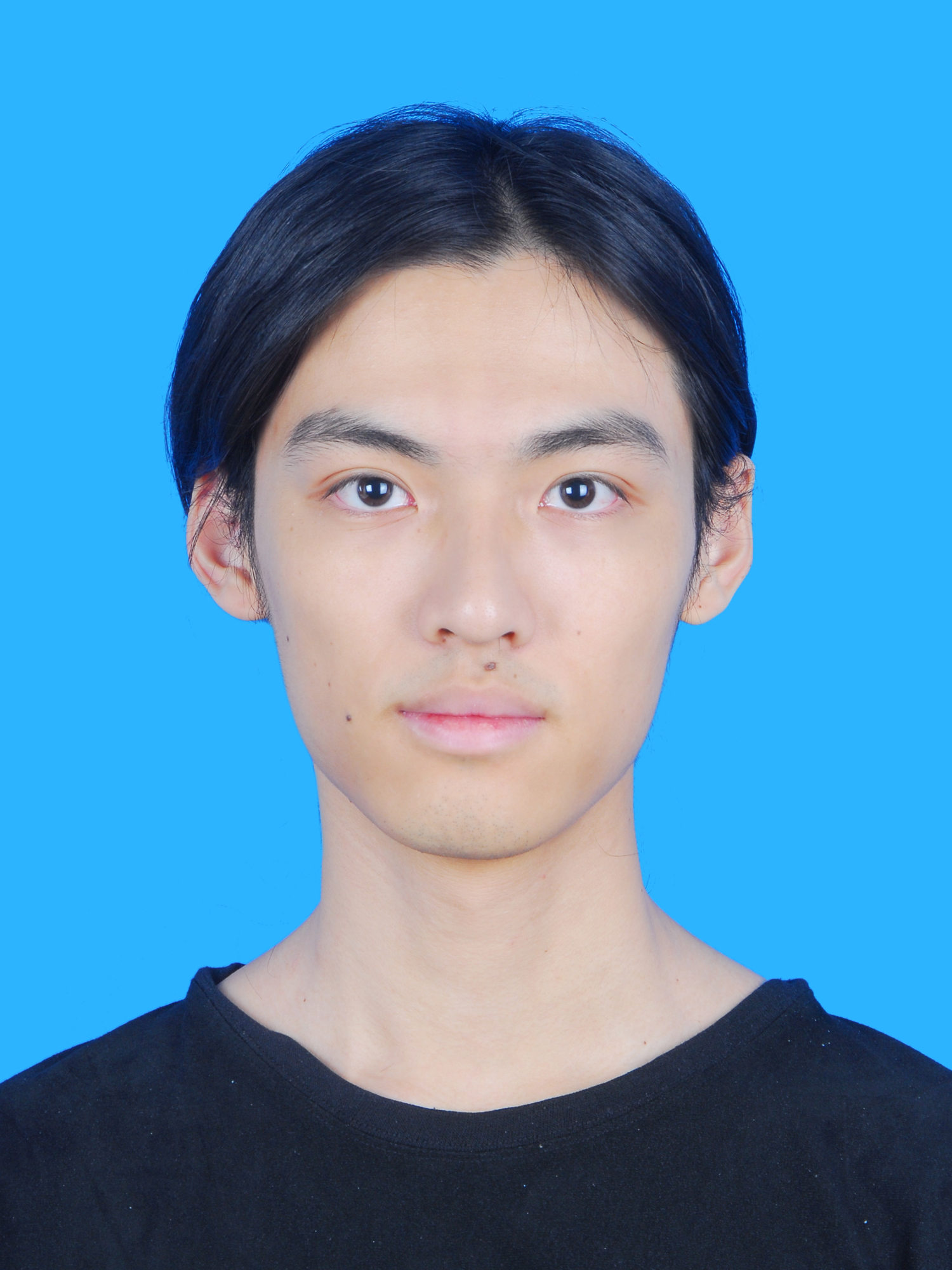 Zhengyan Weng