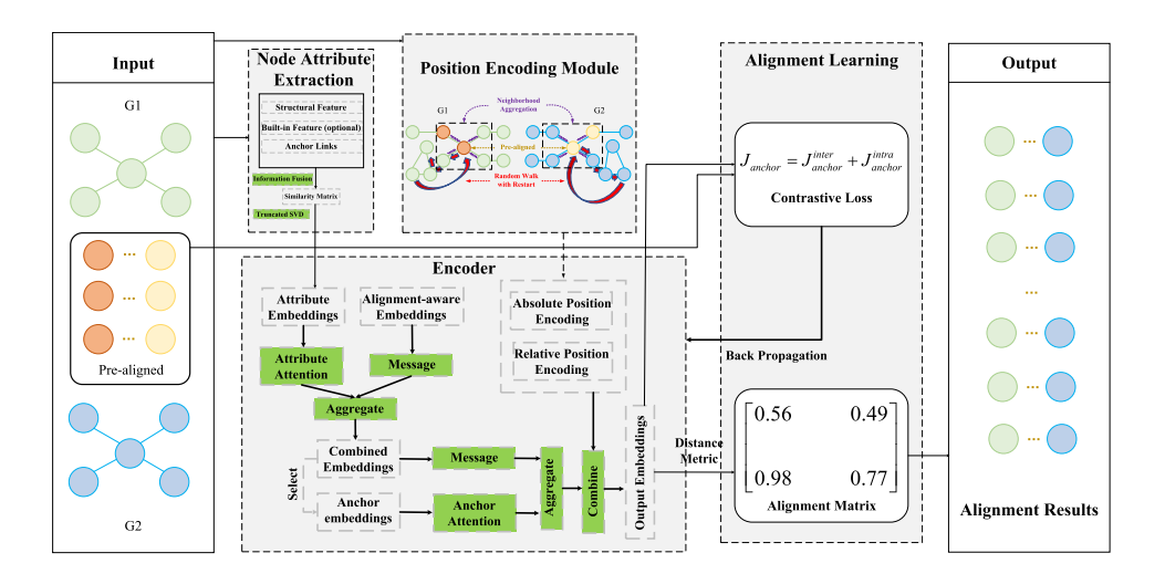 Identifying Users across Social Media Networks for Interpretable Fine-grained Neighborhood Matching by Adaptive GAT